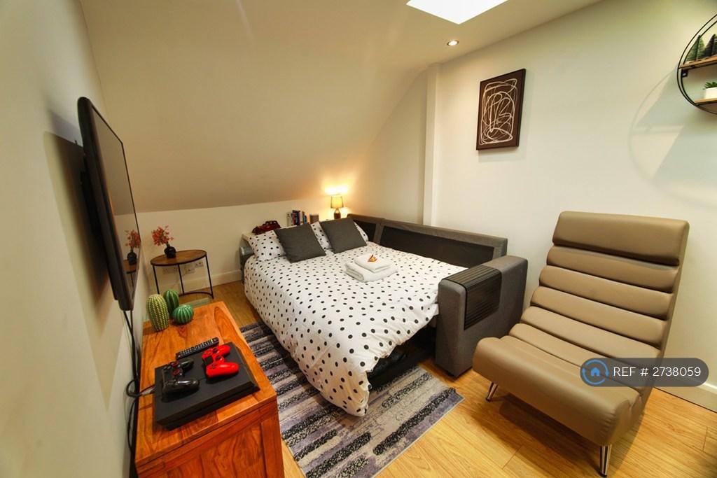 Living Room Pullout Sofa