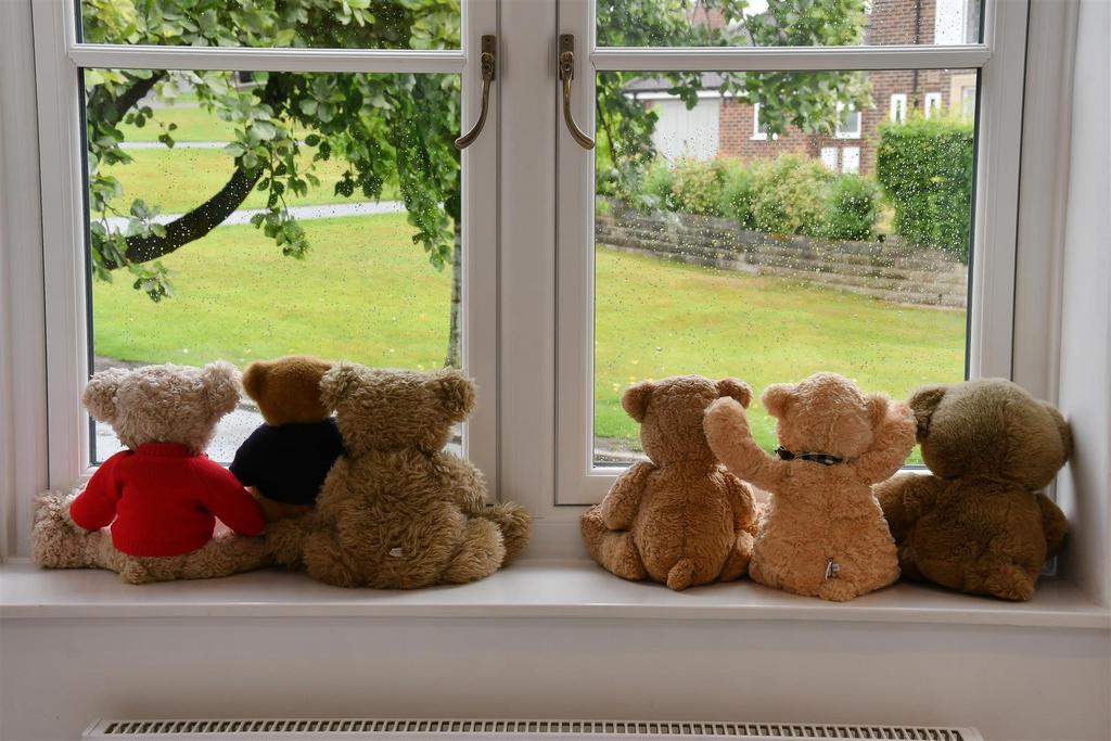 Dsc 9305.jpg