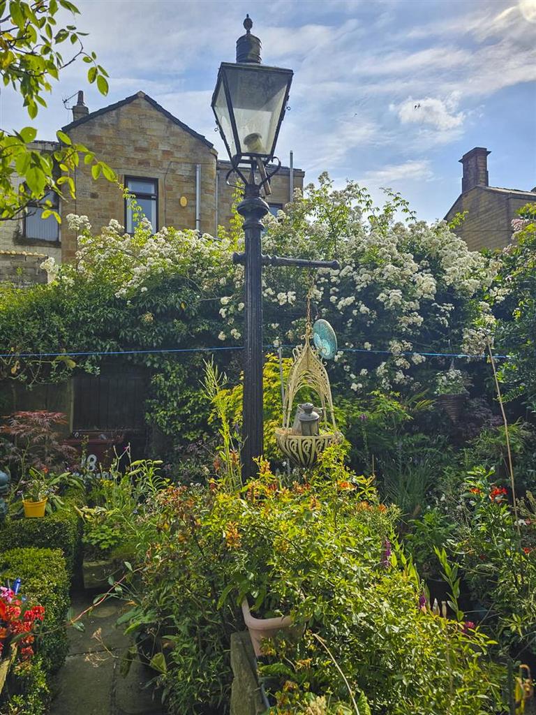 Garden in Summer