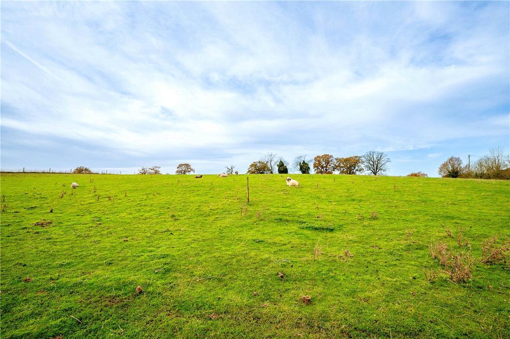 Land
