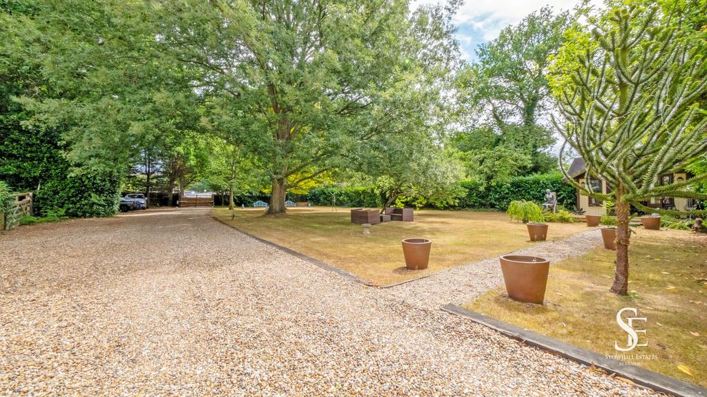 Driveway &amp; Front Orchard to Gate