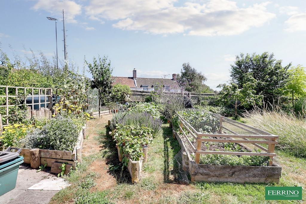 Vegetable Garden