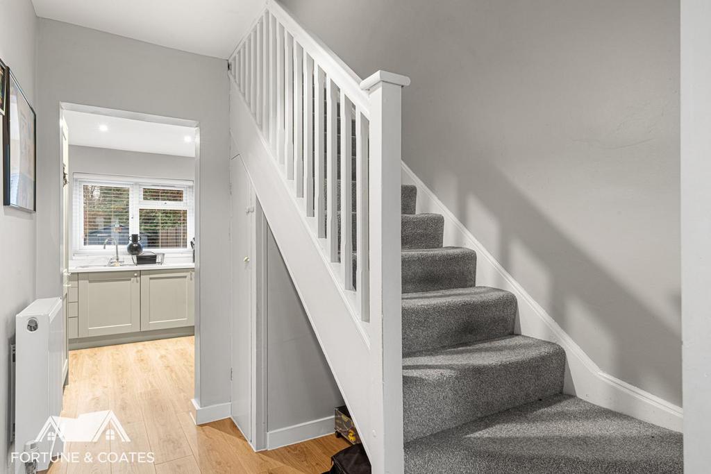 Vicarage Wood 5.jpg