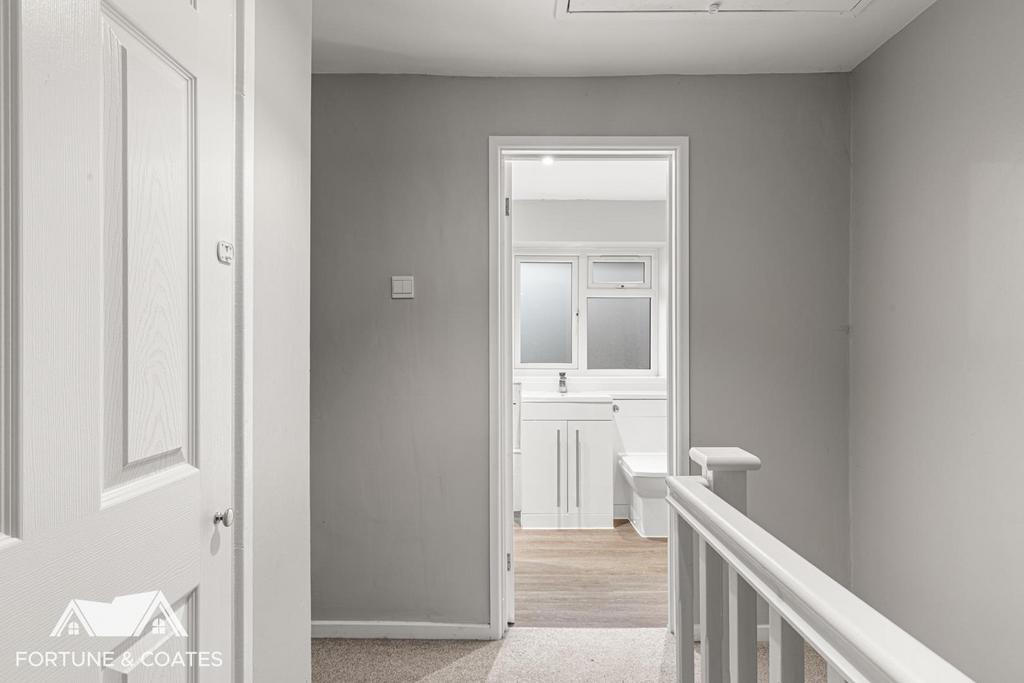 Vicarage Wood 11.jpg