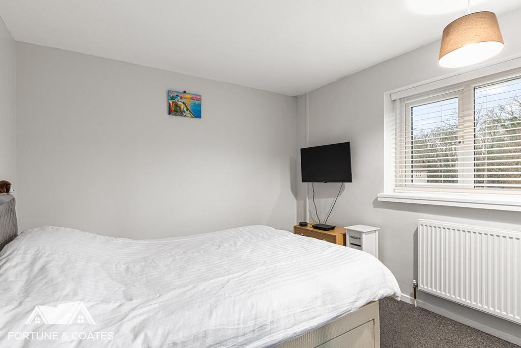 Vicarage Wood 6.jpg