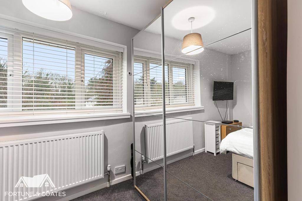 Vicarage Wood 8.jpg