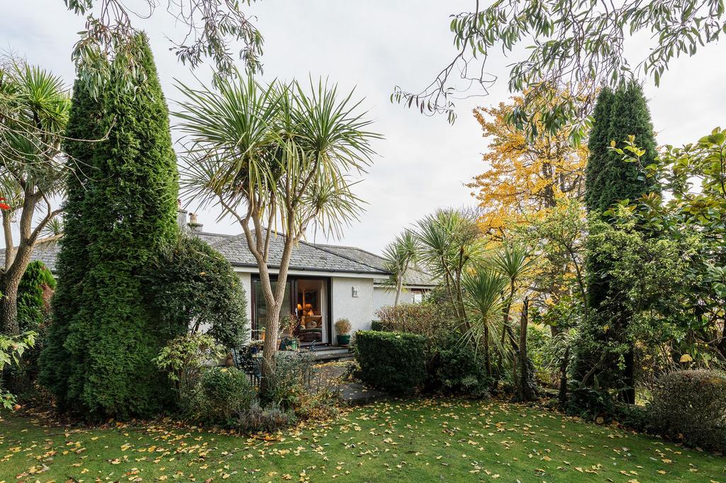 Garden Off Living Area Ginkgo House, Stoke Fleming