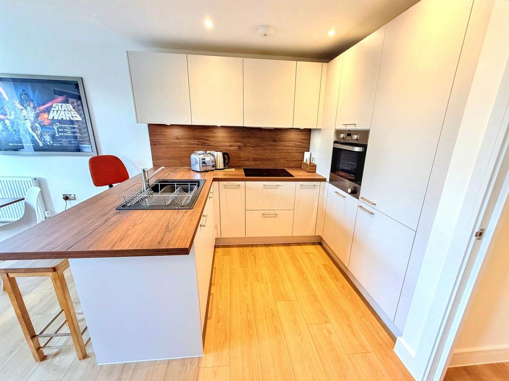 Open Plan Reception Room and Kitchen