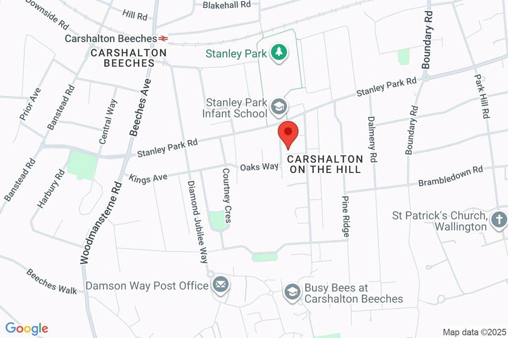 Google Maps Image