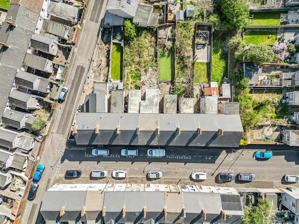 Aerial Images