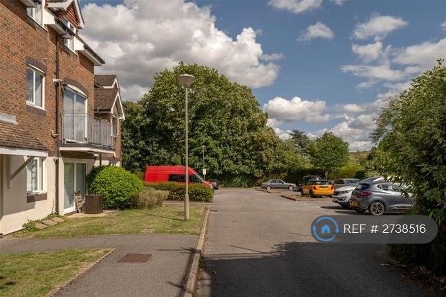 Parking &amp; Garden