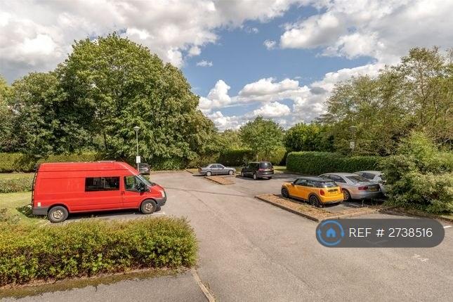 Parking &amp; Garden