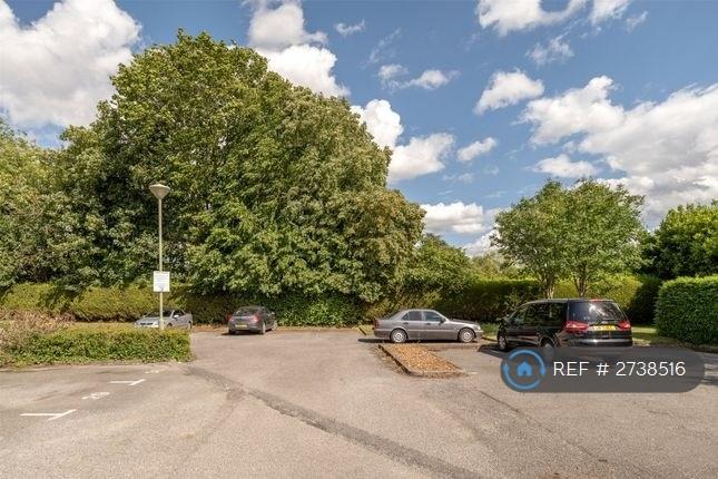 Parking &amp; Garden