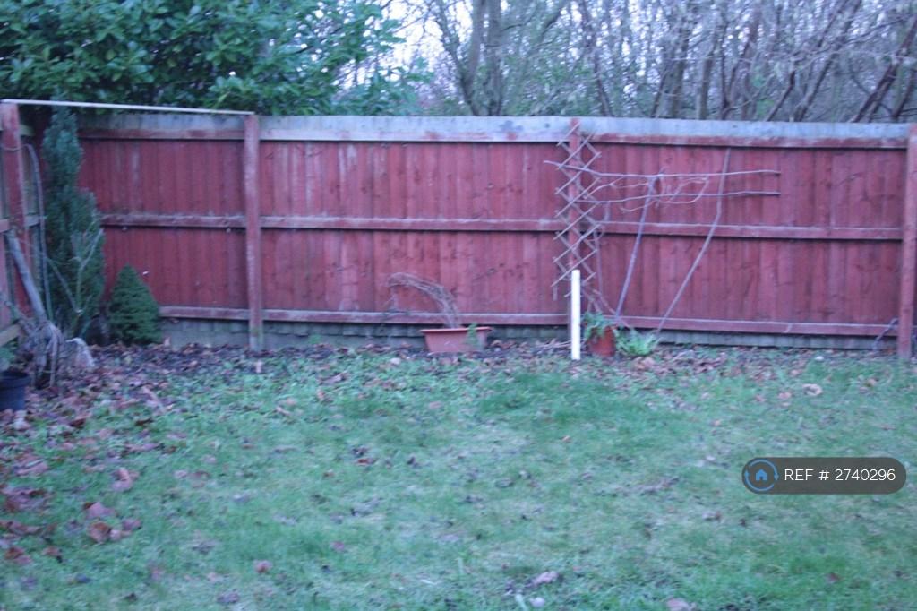 Back Garden