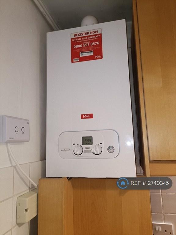 1 Yr Old Boiler