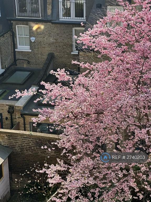 View From Bathroom Window Onto Garden