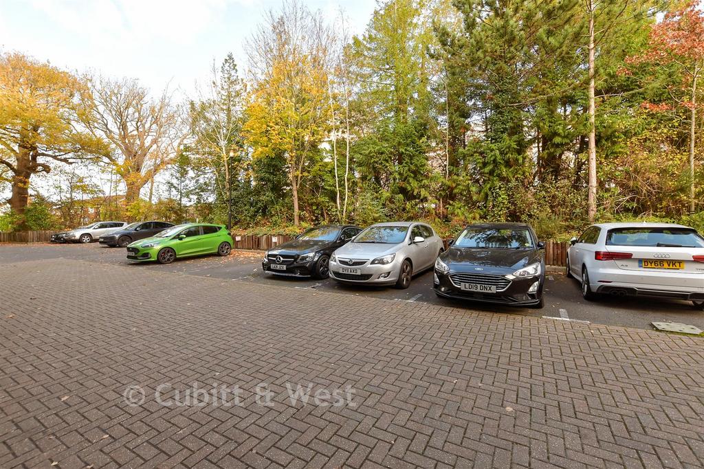 Driveway/Parking