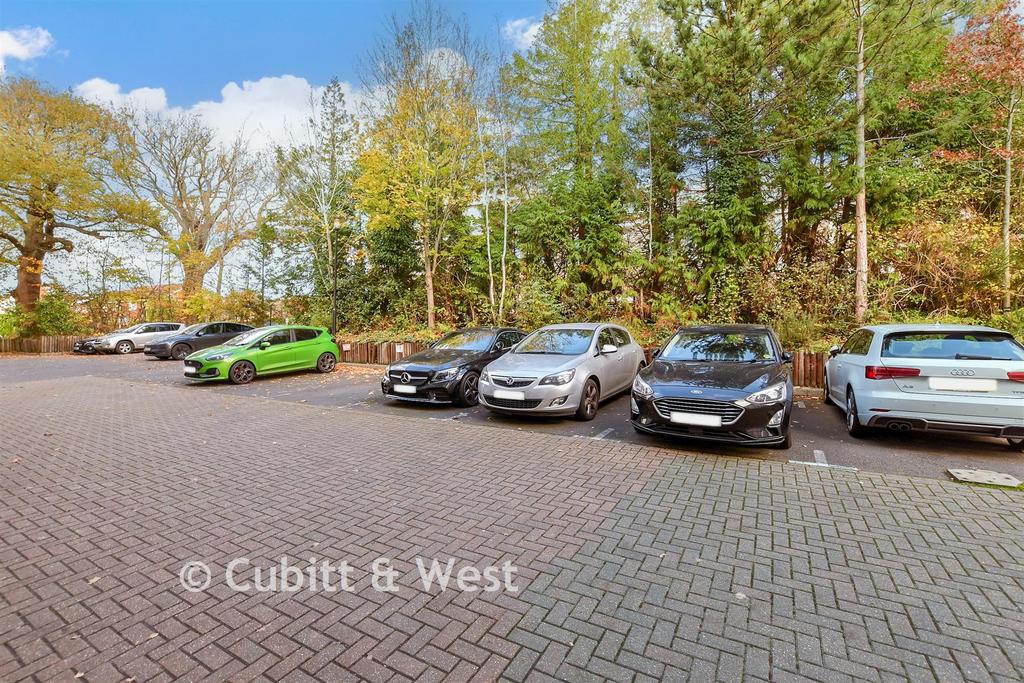 Driveway/Parking