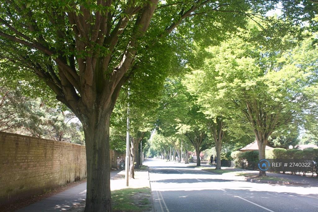 Brooklands Avenue