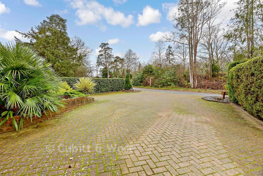 Driveway/Parking