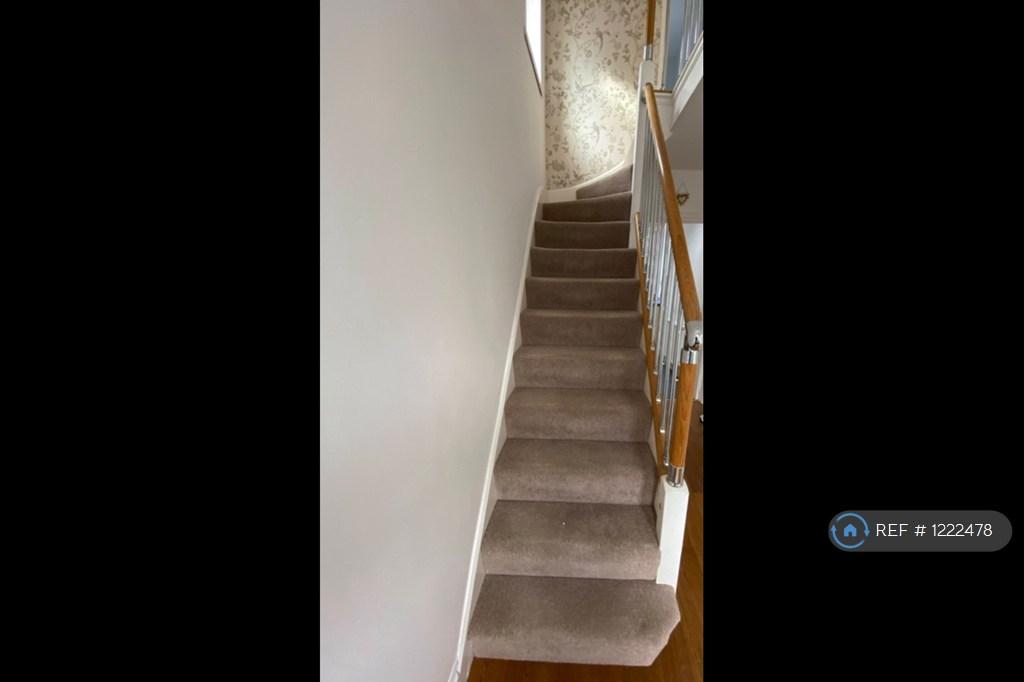 Hallway / Stairs