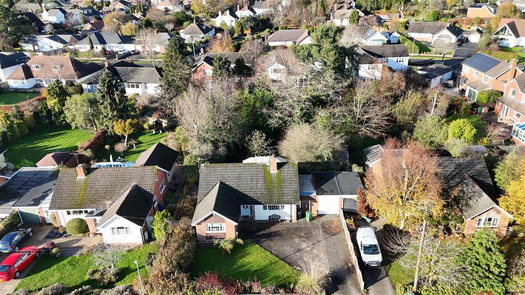 Dji 20251124125054 0779 d.jpg
