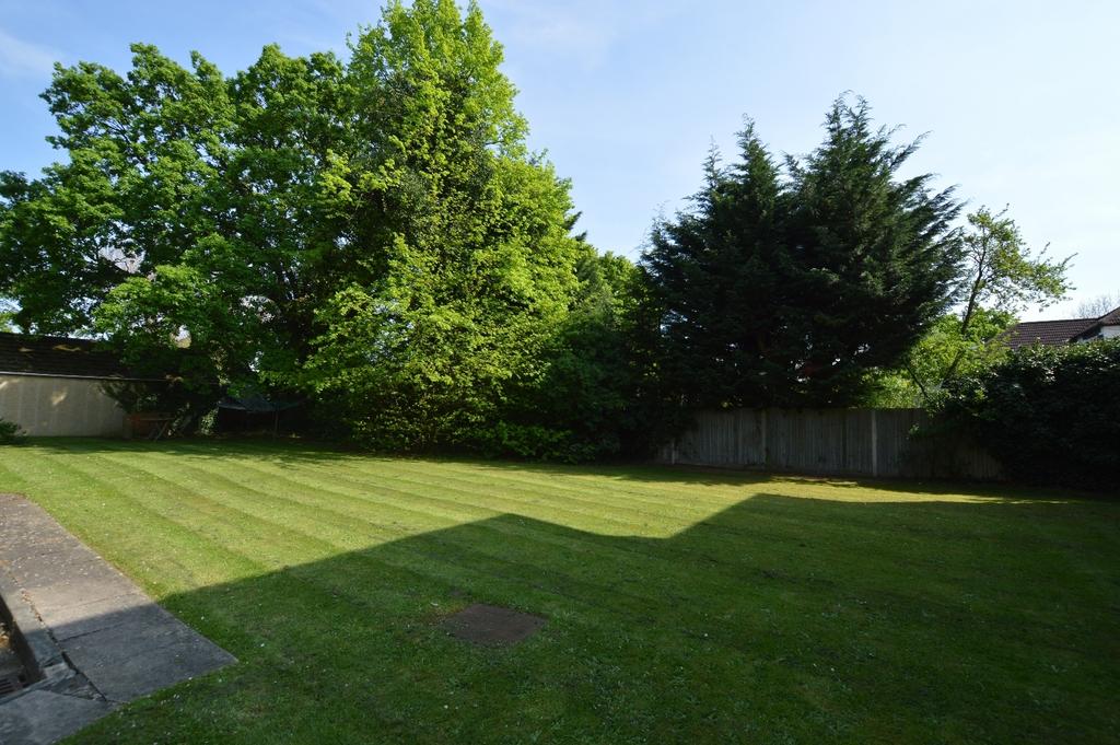 Communal Gardens