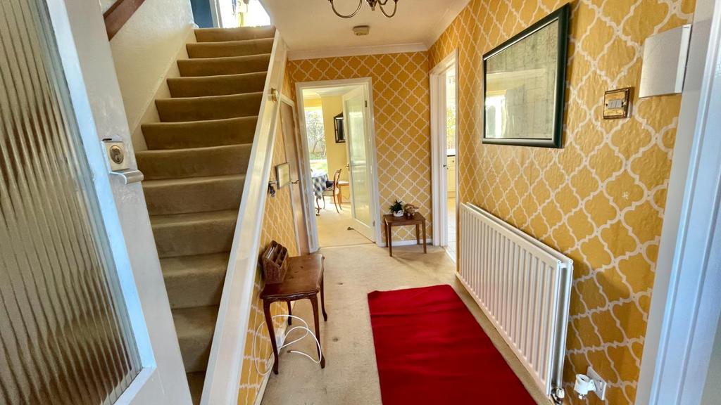 15.jpeg