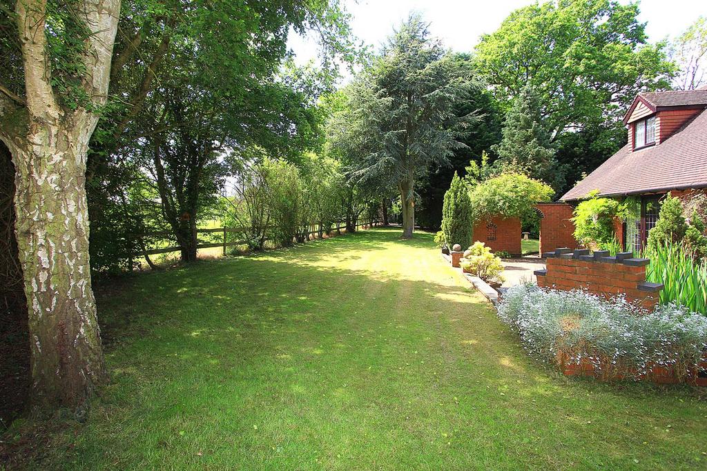 Side Garden