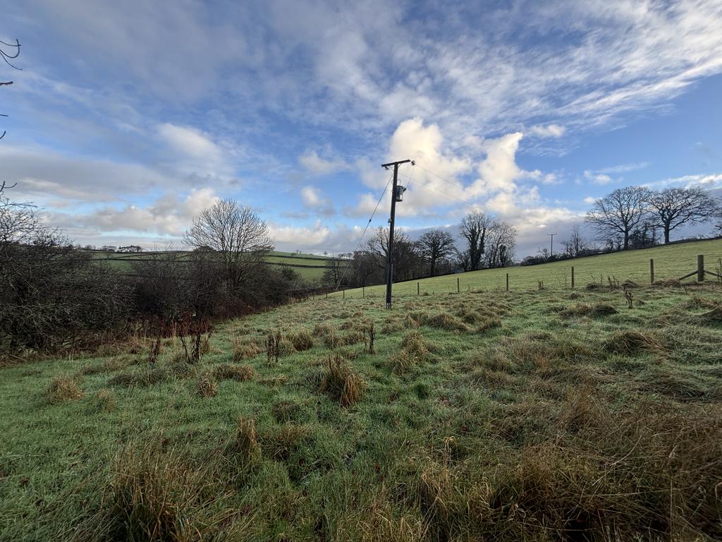 Grounds