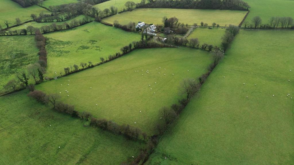 Land (second image)