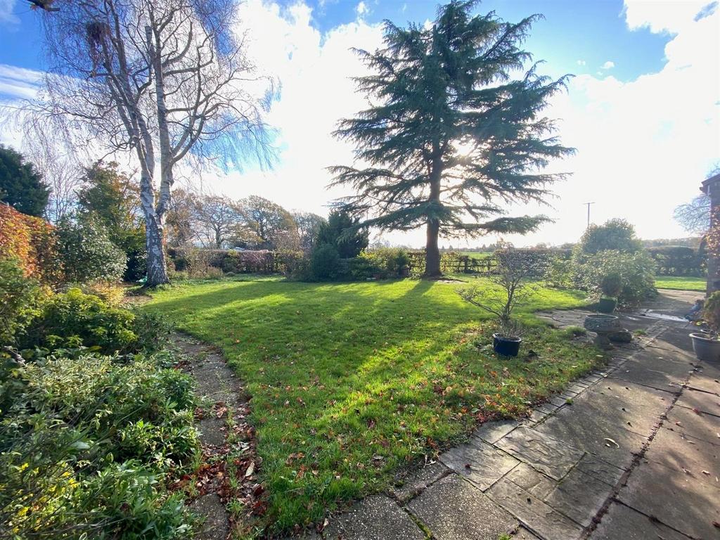Garden.jpg