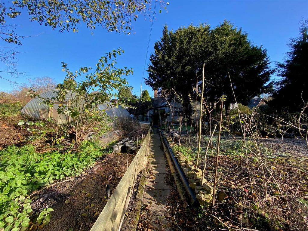 Vegetable Garden.jpg