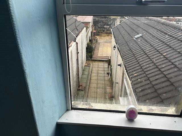 Window.jpg
