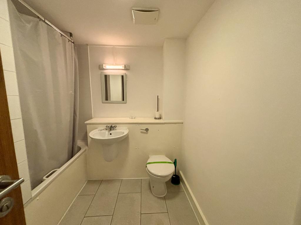 Img 0528