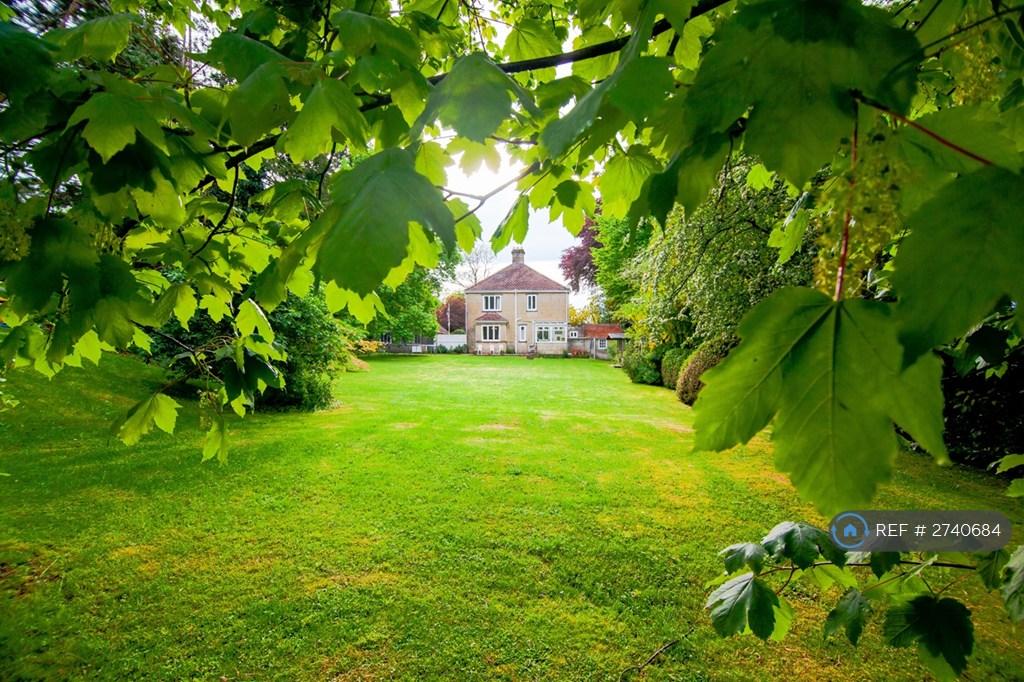 Garden Back 2