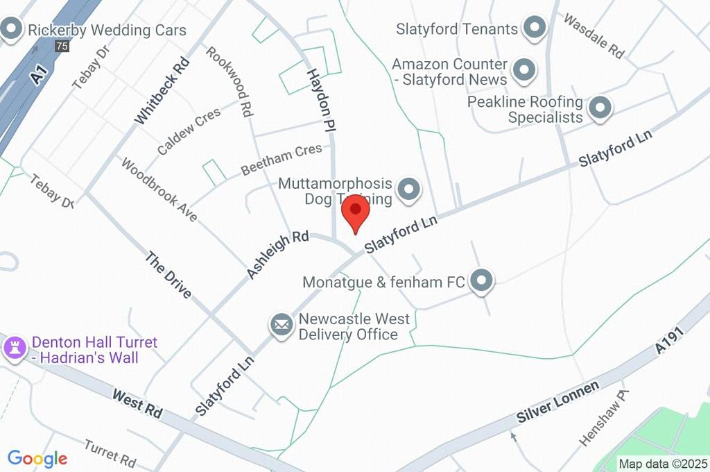 Google Maps Image