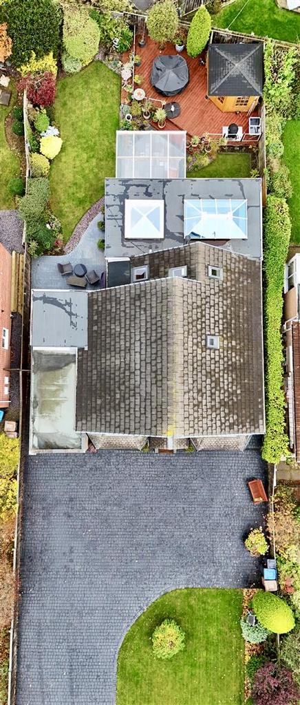 Birds Eye Plot view