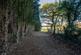 Additional image 48 of Holme View, Warwick Bridge, Carlisle, CA4