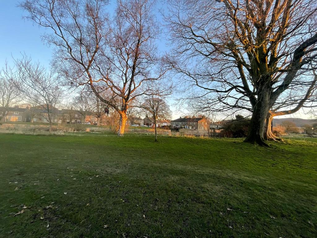 Picture No. 10