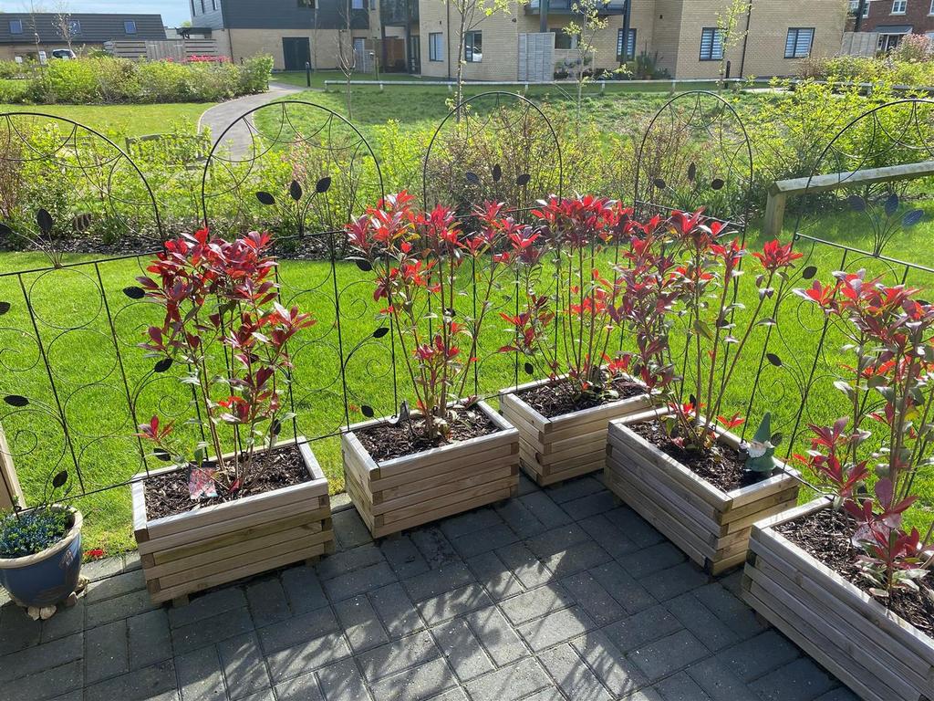 Garden pic.jpg