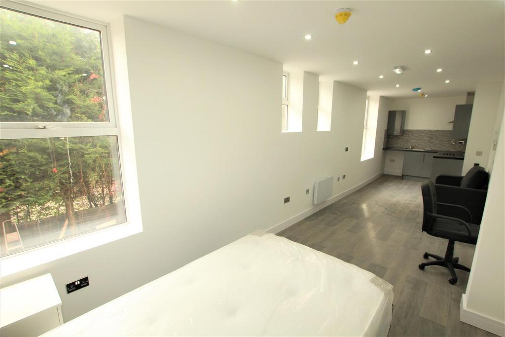 Bedroom/Lounge