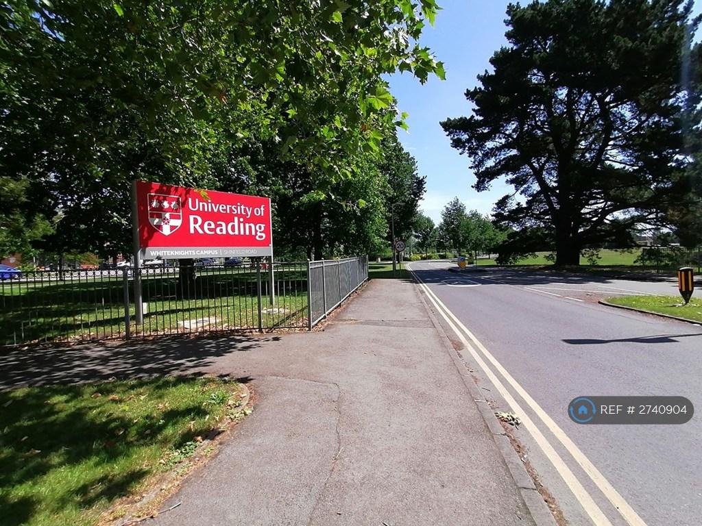 Reading University 10 Minutes Bus Ride From Town