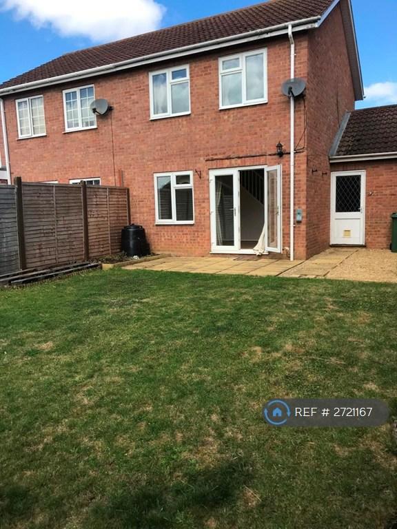 Garden Rear
