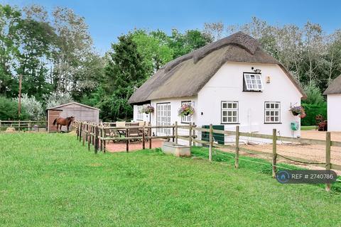 undefined, Wimborne, Wimborne, Dorset, BH21