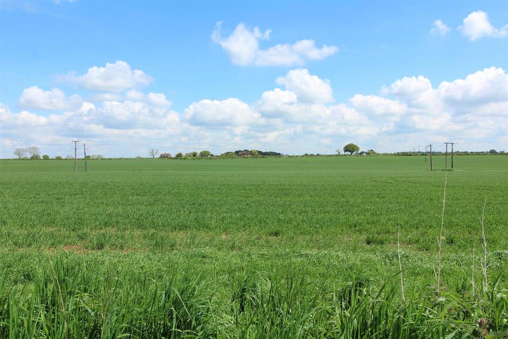 View of fields behind .JPG