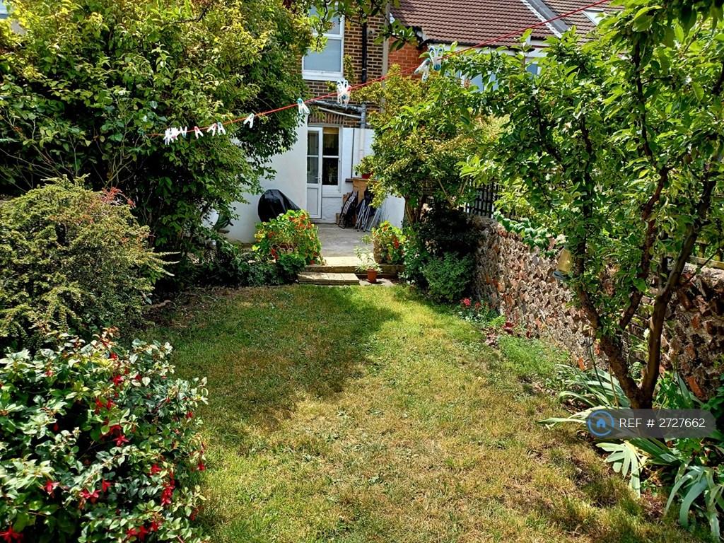 Garden In Summer 2023