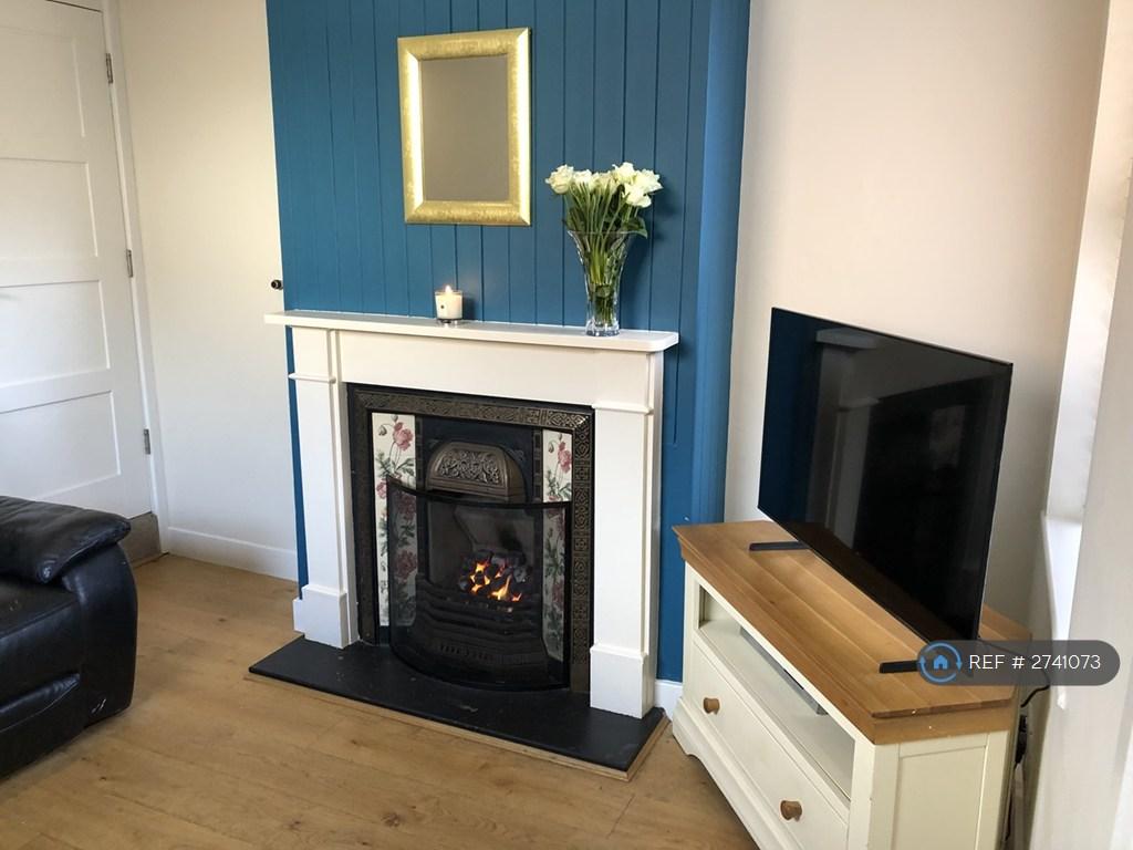 Lounge With Working Gas Fire