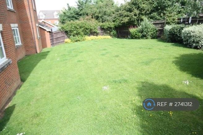 Back Garden