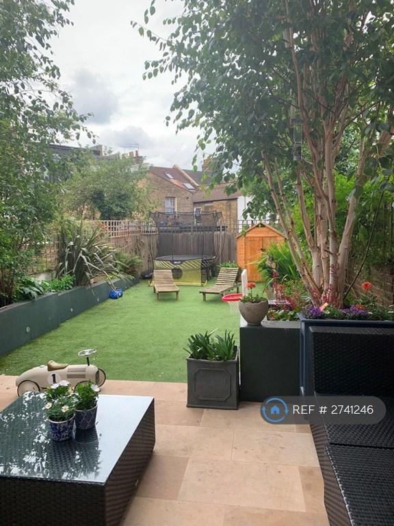 Outdoor Garden From House